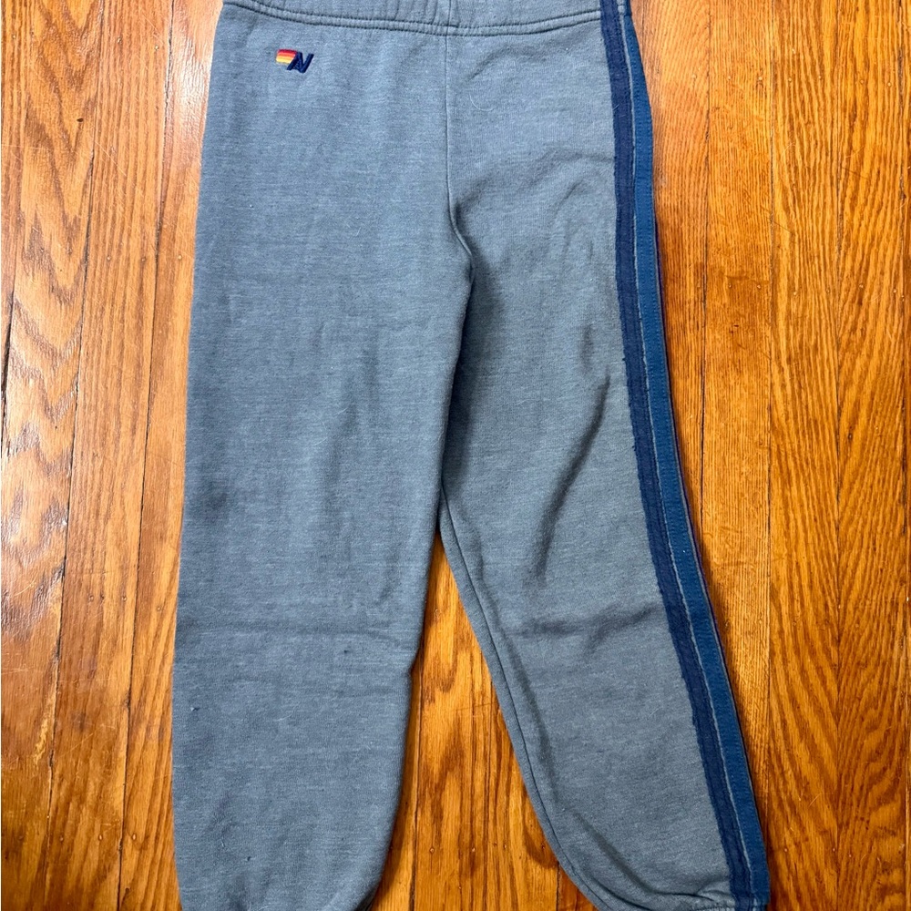 Aviator Nation Gray and Blue Sweatpants